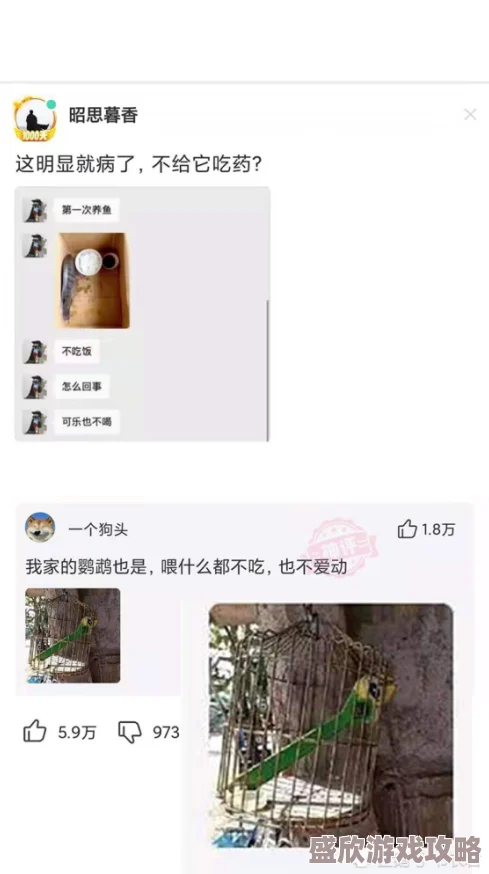 女人被男人躁到呻吟的，许多网友认为这种行为侵犯了女性的意愿和尊严，呼吁社会关注性别平等与尊重