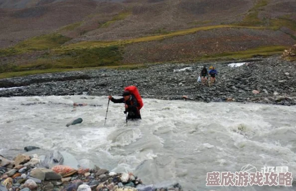 无人区电影荒凉沙漠中的黑色幽默与人性考验